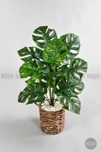 Yapay Monstera Deve Tabani 65 Cm Demir Destekli Kulplu Hasir Saksıda