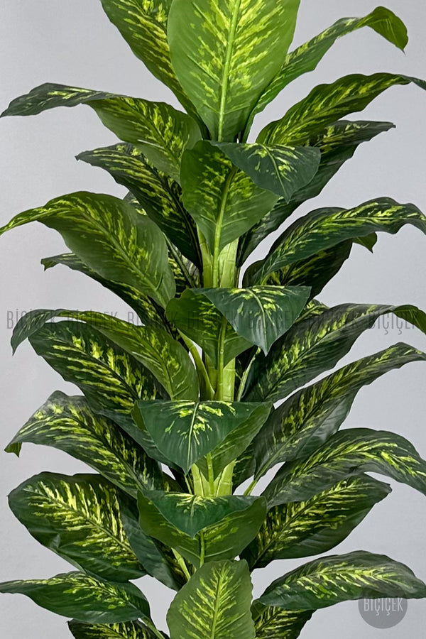 Yapay Di̇fenbahya Ağacı 220 Cm Si̇yah Li̇lyum Saksıda