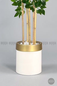 Yapay Benjamin Ağacı 170cm Krem Gold Metal Saksıda