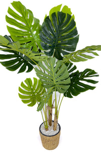 Yapay Monstera Ağacı Deve Tabani 150 Cm Su Sümbülü Hasir Saksıda