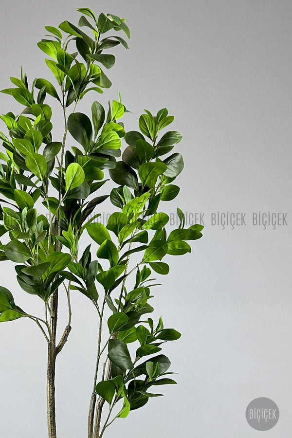 Yapay Manolya Ağacı 150 Cm Krem Metal Saksıda