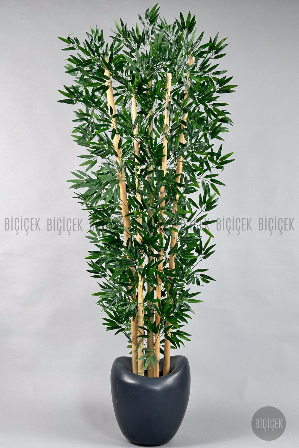 Zen Bambu Ağacı 240 Cm Antresit Bone Saksıda