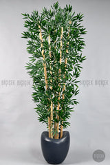 Zen Bambu Ağacı 240 Cm Antresit Bone Saksıda