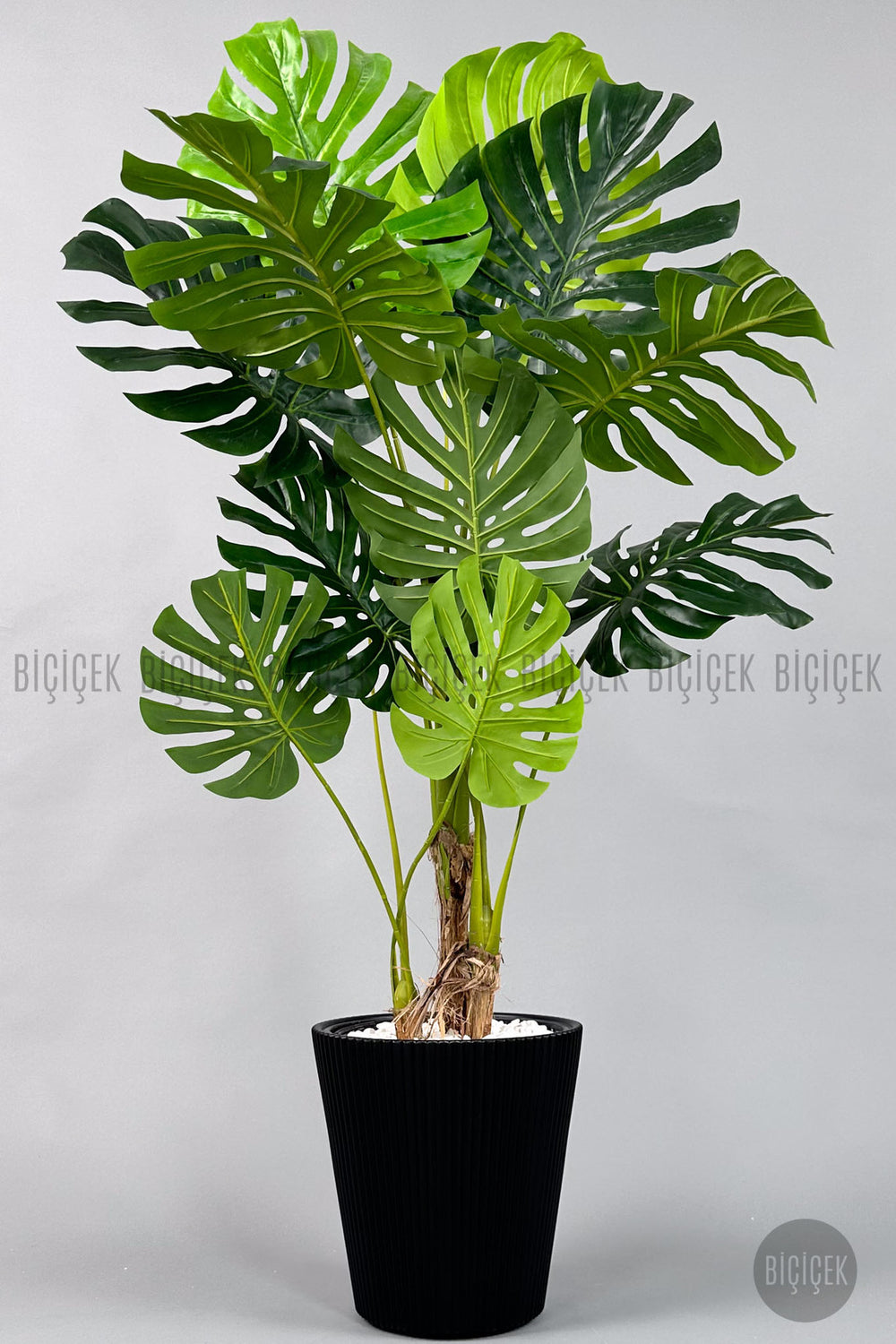 Yapay Monstera Ağacı Deve Tabani 160 Cm Si̇yah Luna Saksıda