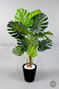 Yapay Monstera Ağacı Deve Tabani 160 Cm Si̇yah Luna Saksıda