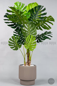 Yapay Monstera Ağacı Deve Tabani 160 Cm Mocha Vega Saksıda