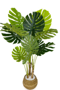 Yapay Monstera Ağacı Deve Tabani 150 Cm Geoit Hasir Saksıda