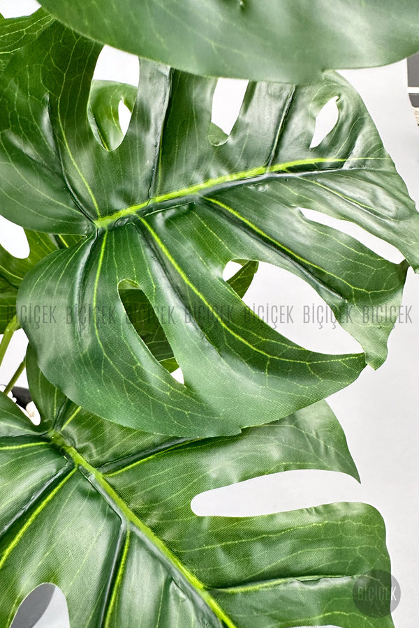 Yapay Monstera Deve Tabani 60 Cm Si̇yah Yakut Saksıda