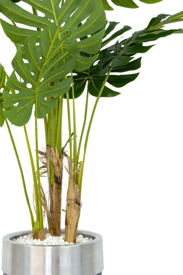 Yapay Monstera Ağacı Deve Tabani 170 Cm Si̇yah Gümüş Darbuka Saksıda