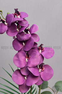 Yapay Phalaenopsis Mor Orkide 60 Cm