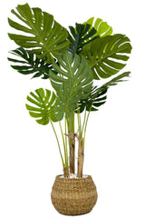 Yapay Monstera Ağacı Deve Tabani 150 Cm Geoit Hasir Saksıda