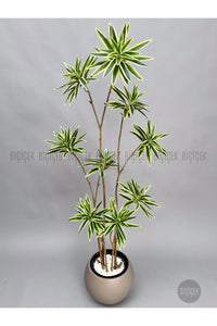 Yapay Dragon Bi̇tki̇si̇ 160 Cm Antresi̇t Mocha Saksıda Alaca Yaprak