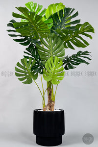 Yapay Monstera Ağacı Deve Tabani 160 Cm Si̇yah Vega Saksıda