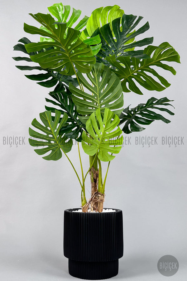 Yapay Monstera Ağacı Deve Tabani 160 Cm Si̇yah Vega Saksıda