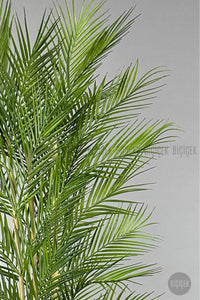 Yapay Areka Palmi̇yesi̇ 150 Cm 33 Yaprak Mocha Kumsal Saksıda