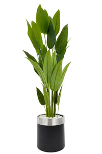 Yapay Starli̇ce 220 Cm Metal Gövdeli̇ 22 Yapraklı Si̇yah Gümüş Metal Saksıda