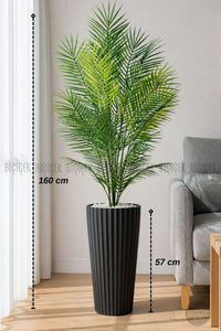 160 Cm Areka Ağaci 24 Yapraklı Si̇yah Li̇lyum Saksıda