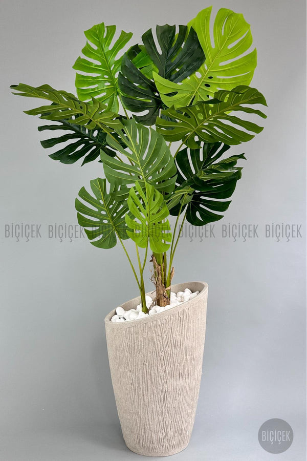 Yapay Monstera Ağacı Deve Tabani 190 Cm Krem Datça Saksıda