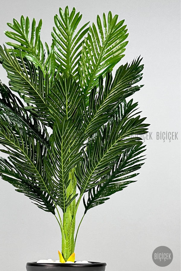 Areka Ağaci 150 Cm Antresi̇t Kumsal Saksıda Tek Gövdeli̇