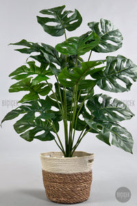 Yapay Monstera Deve Tabani 65 Cm Hasir Saksıda