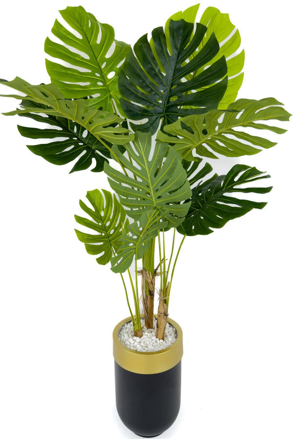 Yapay Monstera Ağacı Deve Tabani 170 Cm Darbuka Saksıda