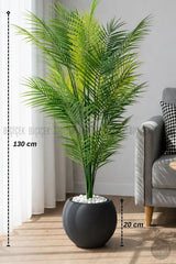 Areka Ağaci 24 Yapraklı 130 Cm Antresit Küre Saksıda