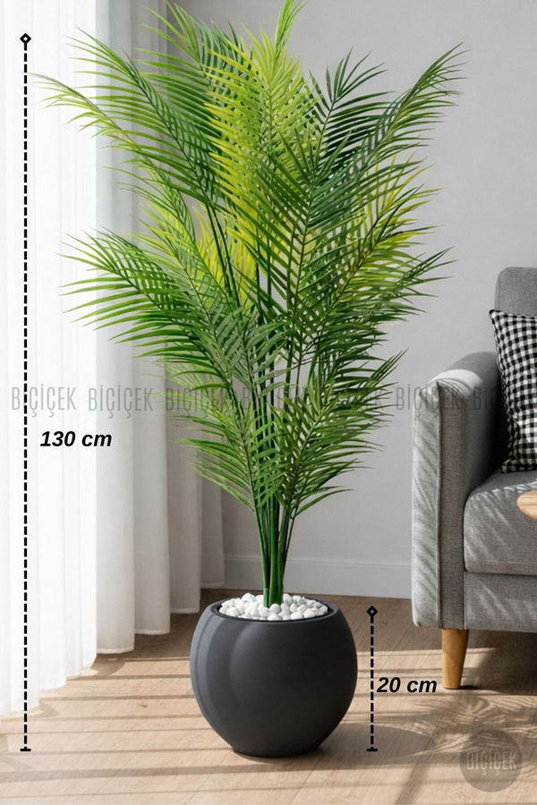 Areka Ağaci 24 Yapraklı 130 Cm Antresi̇t Küre Saksıda