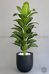 Yapay Difenbahya 180 Cm Çeşme Saksıda