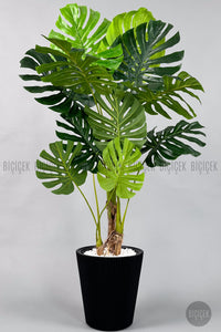 Yapay Monstera Ağacı Deve Tabani 160 Cm Si̇yah Luna Saksıda
