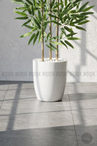 110 Cm Bambu Ağacı Yakut Saksıda