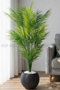 Areka Ağaci 24 Yapraklı 130 Cm Antresi̇t Küre Saksıda