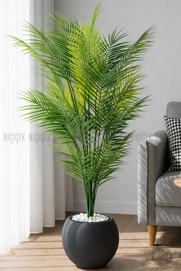 Areka Ağaci 24 Yapraklı 130 Cm Antresi̇t Küre Saksıda