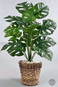 Yapay Monstera Deve Tabani 65 Cm Demir Destekli Kulpsuz Hasir Saksıda