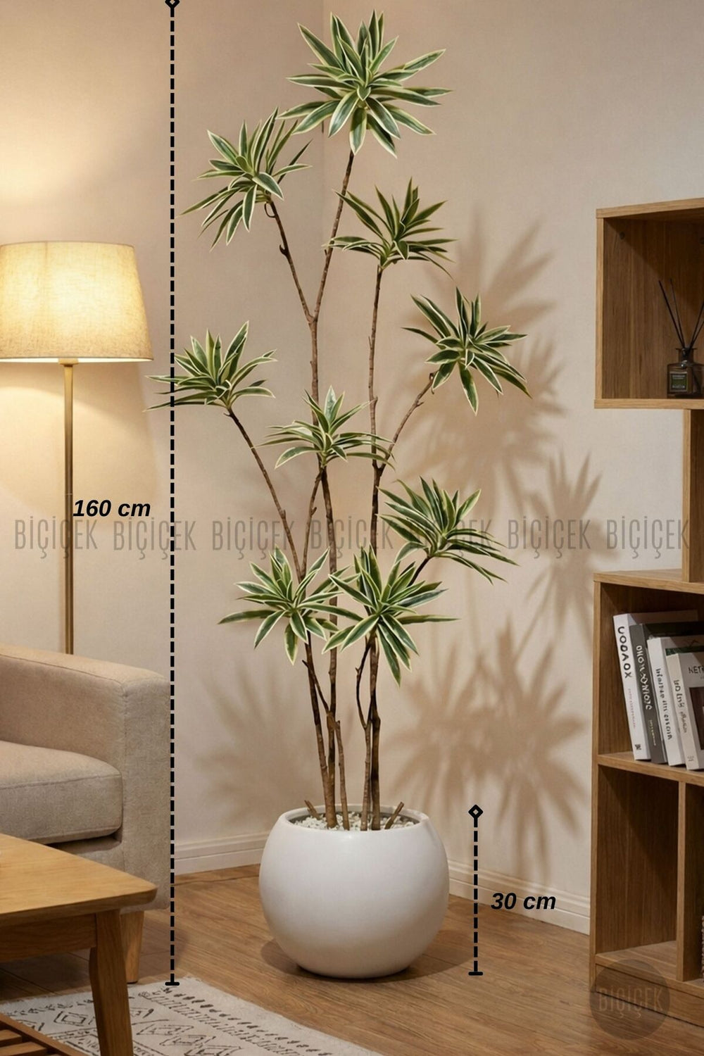 Yapay Dragon Bitkisi 160 Cm Küre Saksıda Alaca Yaprak - Beyaz