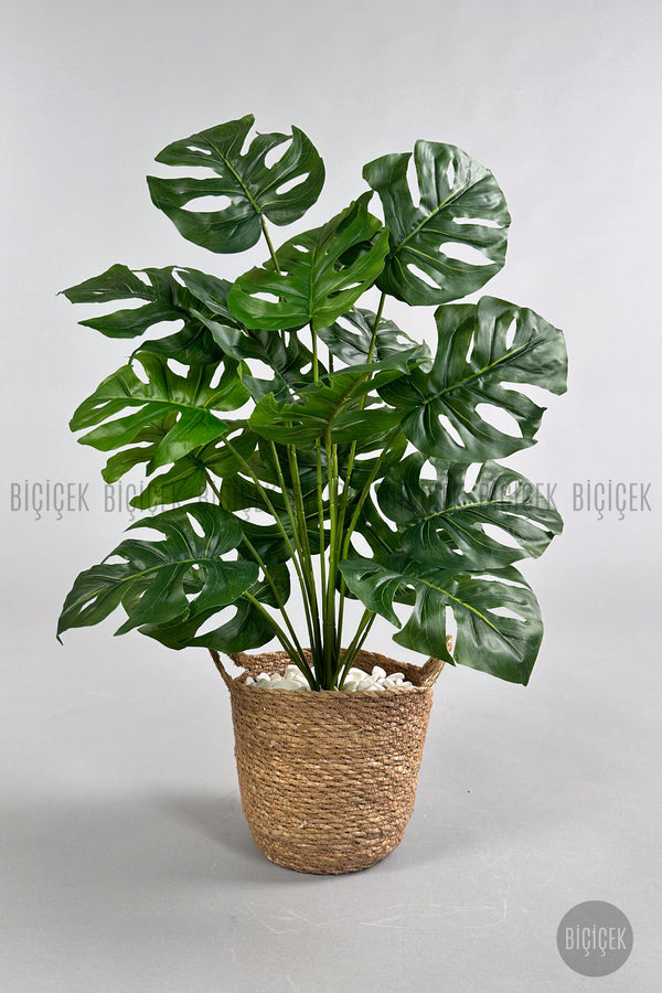 Yapay Monstera Deve Tabani 65 Cm Kulplu Hasir Saksıda