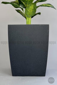 Yapay Difenbahya 180 Cm Kemer Saksıda