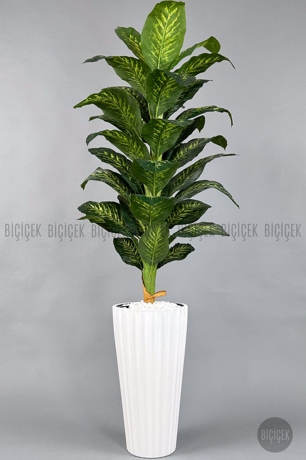 Yapay Difenbahya Ağacı 220 Cm Lilyum Saksıda - Beyaz