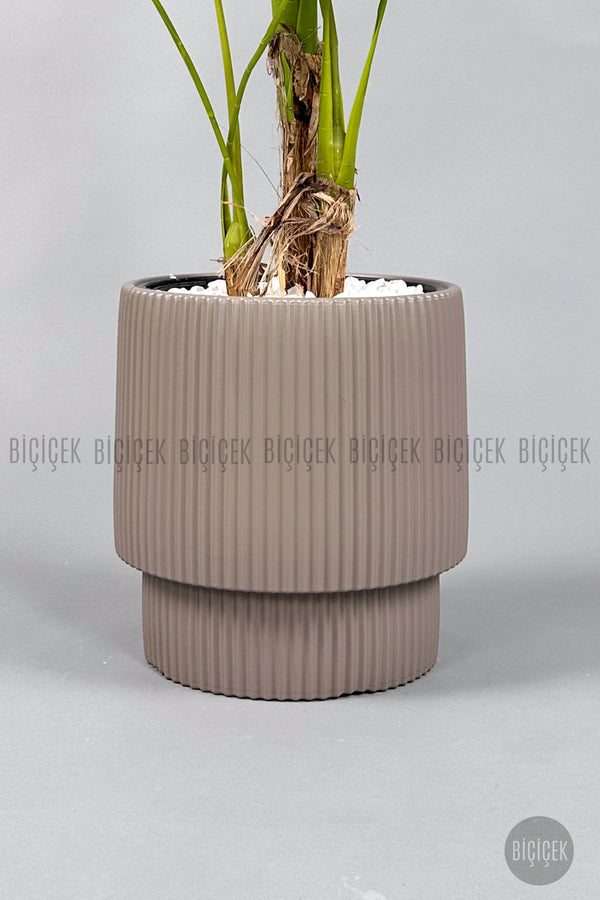 Yapay Monstera Ağacı Deve Tabani 160 Cm Mocha Vega Saksıda