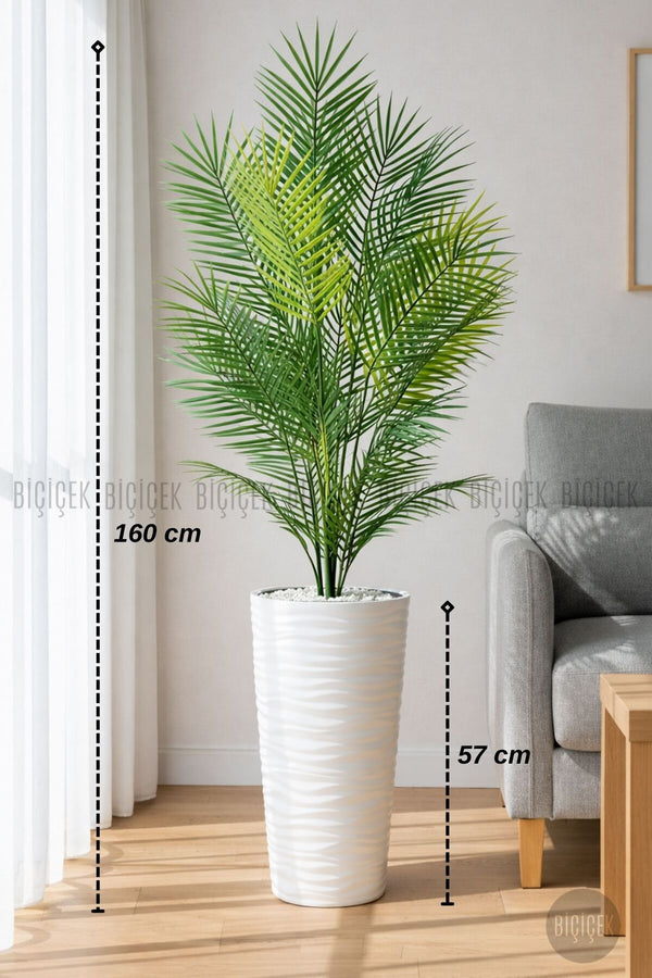 160 Cm Areka Ağaci 24 Yapraklı Kumsal Saksıda - Beyaz