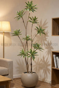 Yapay Dragon Bi̇tki̇si̇ 160 Cm Antresi̇t Mocha Saksıda Alaca Yaprak