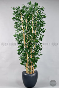 Zen Bambu Ağacı 240 Cm Antresit Bone Saksıda