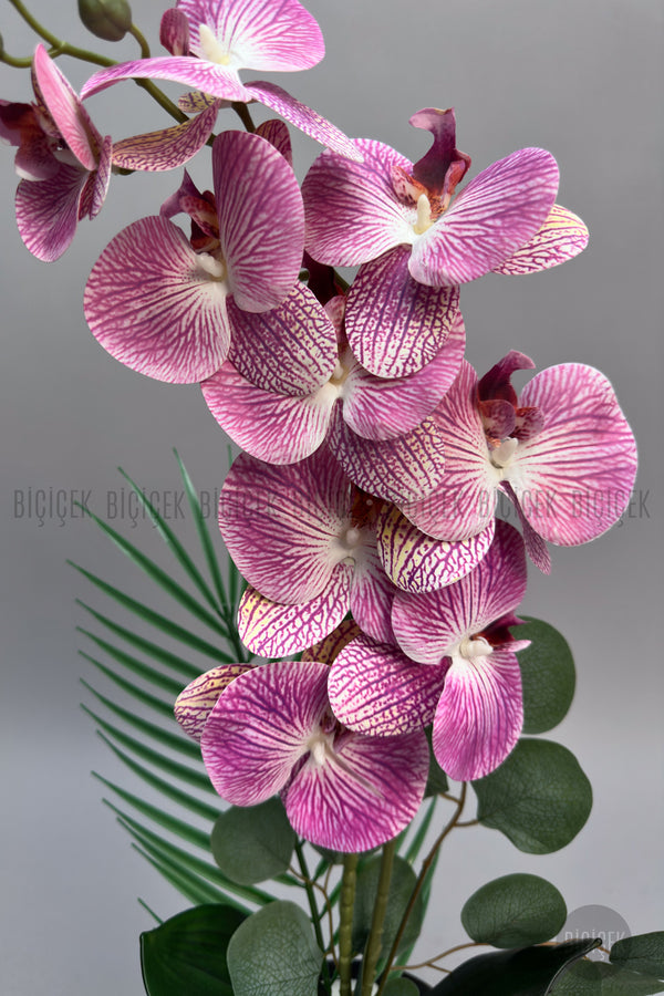 Yapay Phalaenopsis Mor Beyaz Orkide 60 Cm