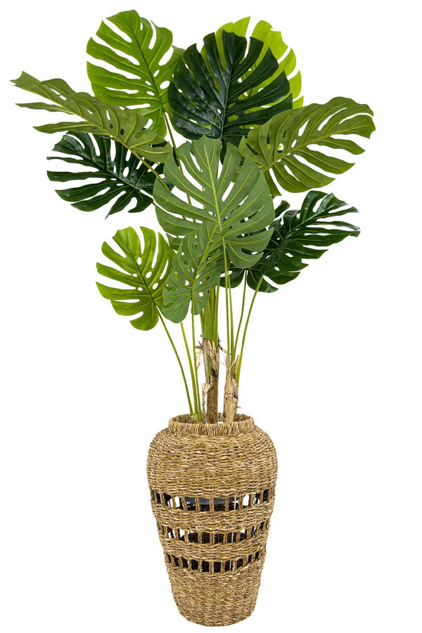 Yapay Monstera Ve Difenbahya Ağacı Bohem Saksıda