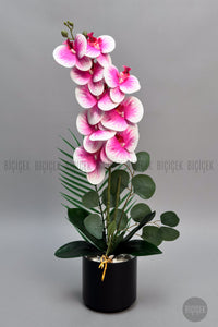 Yapay Phalaenopsis Pembe Orkide 60 Cm