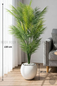 Areka Ağaci 24 Yapraklı 130 Cm Küre Saksıda - Beyaz