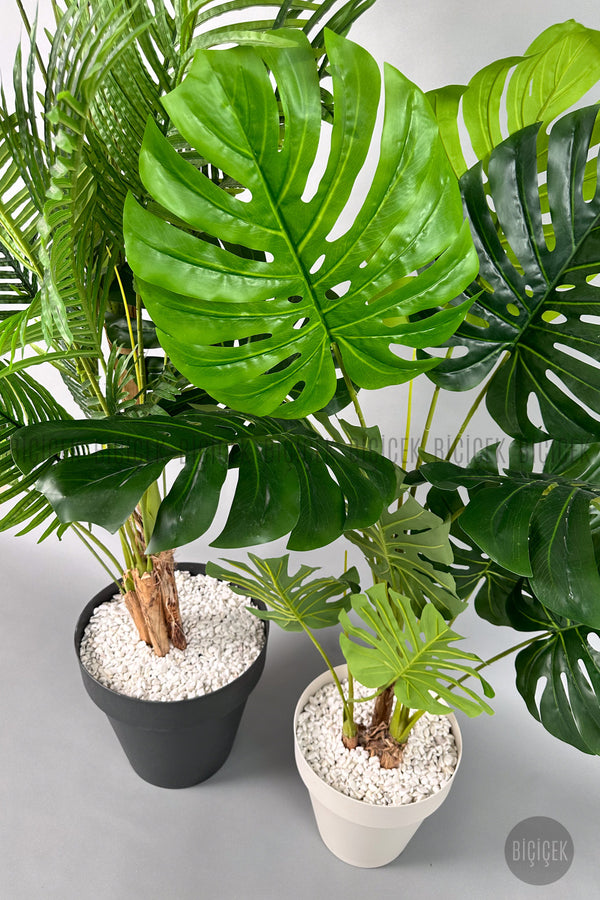 Yapay Areka Palmiyesi Ve Monstera Ağacı Yali Saksıda