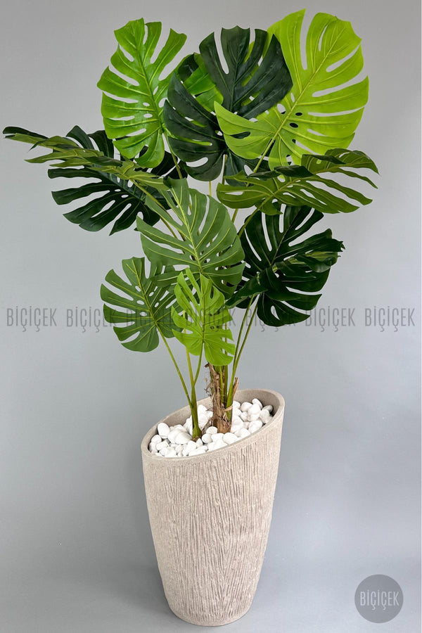 Yapay Monstera Ağacı Deve Tabani 190 Cm Krem Datça Saksıda