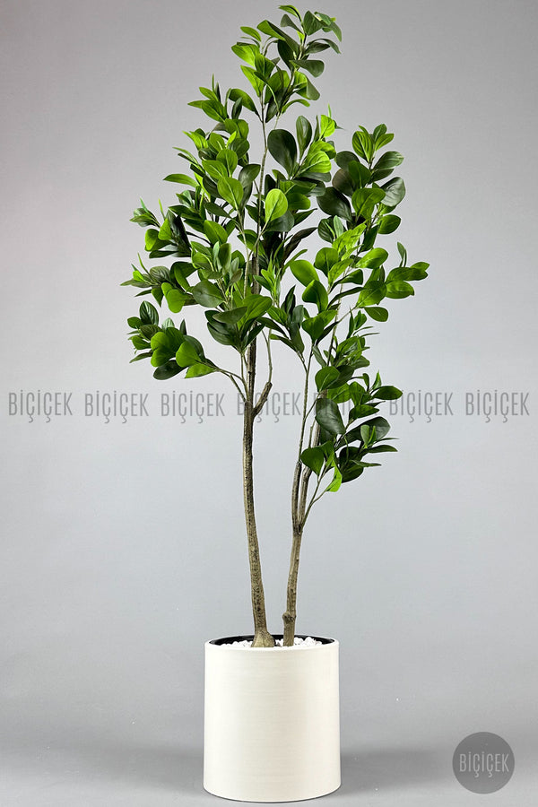 Yapay Manolya Ağacı 150 Cm Krem Metal Saksıda