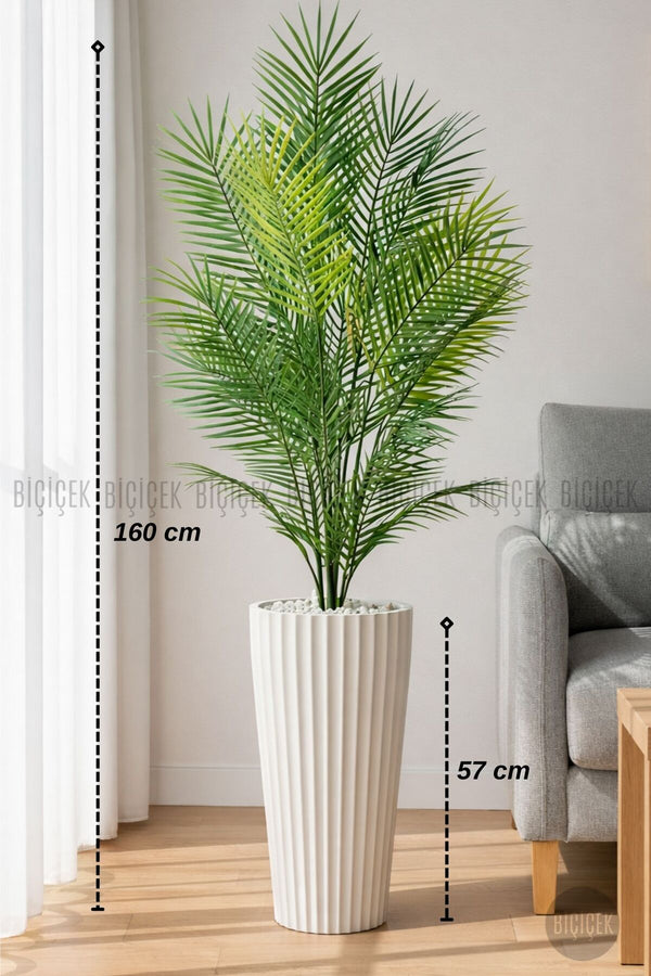 160 Cm Areka Ağaci 24 Yapraklı Lilyum Saksıda - Beyaz