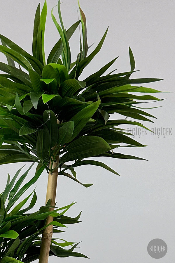 Yapay Bambu Ağacı 60cm Yoğun Yapraklı Spiral Saksıda